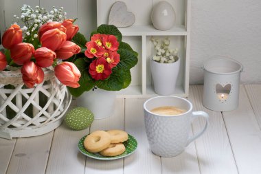 Baharda kahve, kurabiye ve bahar süslemeleri. İlkbahar deco düzenlemeli dolabı göster. Turuncu çuha çiçeği saksısı ve bir sürü kırmızı lale. Beyaz ahşap kırsal tasarım.