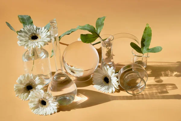 White Glowers Transparent Glass Jars Vials Reflections Distorted Floral Elements — Stock Photo, Image