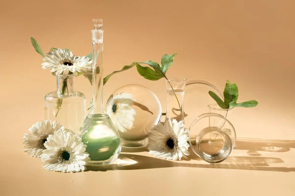 Flores Frascos Vidrio Transparente Botellas Viales Reflejos Elementos Florales Distorsionados Fotos De Stock Sin Royalties Gratis