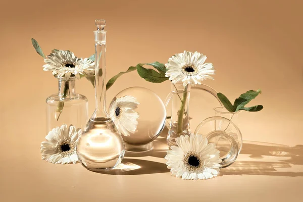 White Glowers Transparent Glass Jars Vials Reflections Distorted Floral Elements — Stock Photo, Image