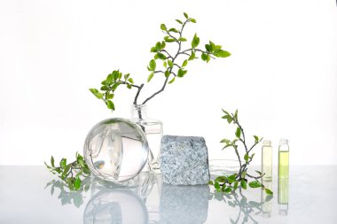 Doğal Yeşil Laboratuvarı. Soyut çiçek aranjmanı. Gri granit podyum, ürününüz için yer. Suyun içindeki yaprakların yansımaları. Şeffaf cam kavanozlardaki yeşil dallar, tüpler..