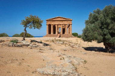 Concordia Tapınağı, ya da İtalyanca Tempio della Concordia. Zeytin ağaçlarıyla kıraç bir manzara. Tapınaklar Vadisi, Agrigento, Sicilya, İtalya.