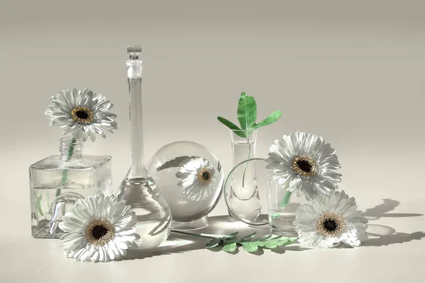 Flores Frascos Vidrio Transparente Botellas Viales Reflejos Elementos Florales Distorsionados Imágenes De Stock Sin Royalties Gratis