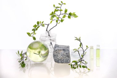 Doğal Yeşil Laboratuvarı. Soyut çiçek aranjmanı. Gri granit podyum, ürününüz için yer. Suyun içindeki yaprakların yansımaları. Şeffaf cam kavanozlarda yeşil dallar, cam..