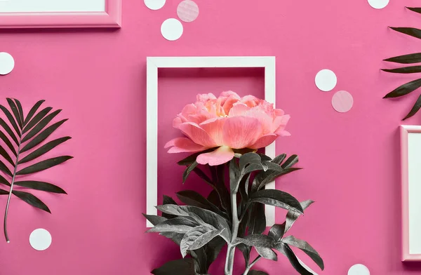 白い枠にピンクの牡丹 ヤシの葉 創造的なフラットレイアウト 抽象的な幾何学的背景の上のビュー ピンクの紙の上のフレームとポルカドット — ストック写真