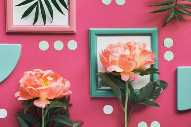 Beyaz çerçeveli pembe şakayık, palmiye yaprakları. Yaratıcı düz konum, soyut geometrik arkaplanda üst görünüm. Çerçeveler ve benekler pembe kağıt üzerinde.