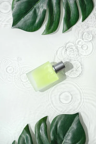 Kosmetische Hautpflege Hintergrund Spritzer Wasser Transparentes Glasfläschchen Mit Grün Gelbem — Stockfoto