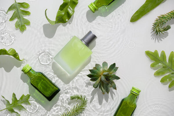 Прозрачный флакон с жидким продуктом. Бутылки со стеклом. Косметический увлажняющий крем для кожи в стеклянной бутылке. Вода фон, брызги, кольца и пузырьки. Мокрые экзотические листья. Естественный солнечный свет, длинные тени