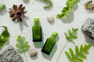 Su arka planı, yeşil şişelerde kozmetik cilt nemlendirici. Siyah cam şişeler. Su yüzeyi, sıçramalar, halkalar, granit taşlar. Islak yeşil egzotik yapraklar. Doğal güneş ışığı, uzun gölgeler..