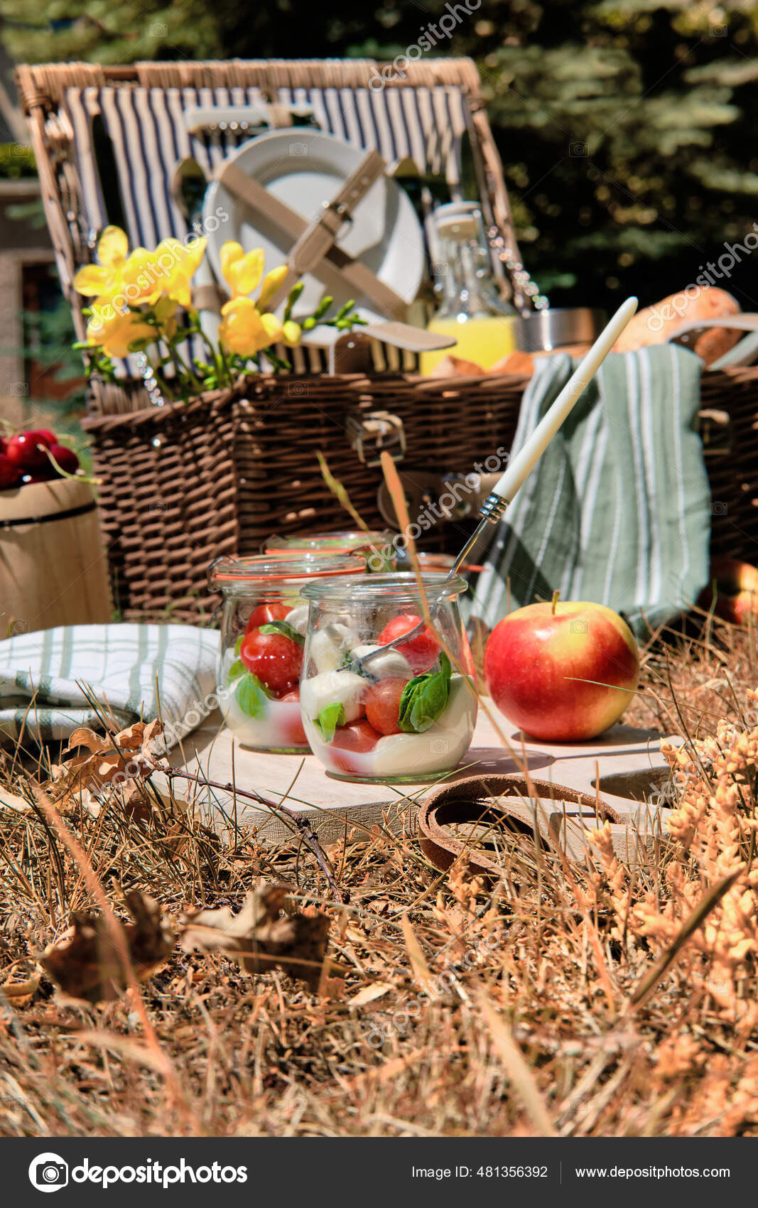 Пикник Отходов Осенью Винтажная Корзина Пикника Корзина Багетом.