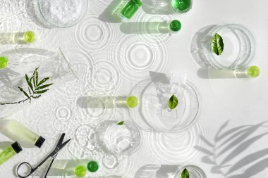 Kozmetik cilt bakımı. Yeşil yapraklı bitkisel ilaç. Doğal güneş ışığı, uzun gölgeler. Su damlaları, halka gölgeleri. Kimyasal cam eşyalar, petri kapları, şişeler. Doğal cilt bakımı.