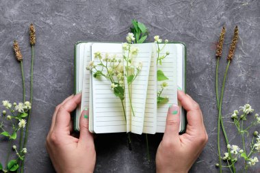 Defter, sayfaların arasında yabani yeşil bitkiler ve çiçekler olan ellerde. Yaratıcı doğal yaz düzlüğü, koyu gri desenli arka planda üst görünüm.