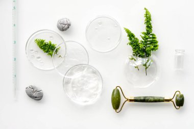 Kendi yapımı nemlendirici ve yeşil yeşim taşlı yüz silindiri. Beyaz arka planda egzotik eğrelti otu yaprakları ve su damlaları. Yüz masajı, el yapımı kozmetik. Monokromatik beyaz yeşil görünüm.