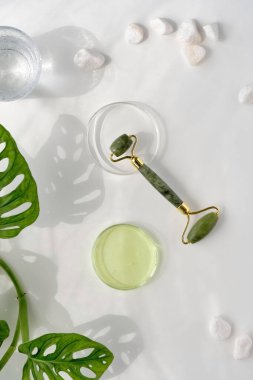 Nemlendirici, yeşil yeşim taşlı ve egzotik yapraklı bir yüz silindiri. Monstera Adansonii gidiyor. Güneş ışığı, uzun gölgeler. Minimum düz beyaz zemin üzerinde yatıyordu. Kendi yaptığı kozmetiklerle yüz masajı..