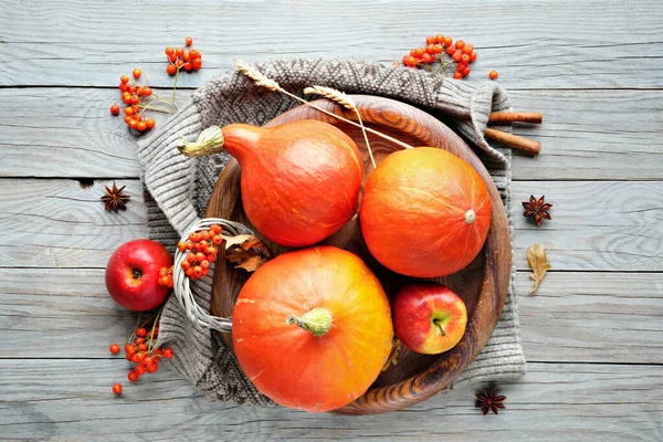 추수감사절 장식들 오렌지 홋카이도 Orange Hokkaido Pumpkins 계피와 장식으로 만들어 — 스톡 사진