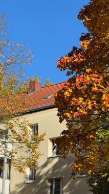 Sonbahar yaprakları, güneşli cepheli, berrak mavi gökyüzü, ılık yapraklı mevsimlik şehir manzaralı ve soluk sıva duvarlı yumuşak gölgeli, sakin mahalle atmosferini taşıyan meskun bir bina.