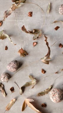 Düz arkaplandaki kuru eğreltiotu yaprakları dağınık tohum kapsülleri ve benekli taşlarla birlikte düz arkaplan üzerine serpiştirilir. Yerleşim alanları ve doğal dokulara sahip tasarım projeleri için geniş bir kopya alanı sağlar.