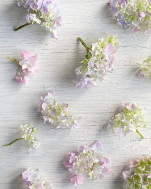 Ortanca kümeleri düz bir şekilde yumuşak pastel tonları olan eskimiş beyaz ahşabın üzerine uzanır ve yayın düzeni veya ürün tasarımı için cömert kopya alanı, hassas bahar havasını ve organik dokuyu çağrıştırır.