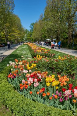 Berlin, Almanya - 05 Mayıs 2016: Berlin Hayvanat Bahçesi 'nde resmi sınır boyunca uzun lale yatakları, yaprak döken olgun yapraklar, berrak mavi gökyüzü altındaki banklarda yürüyen ve oturan ziyaretçiler
