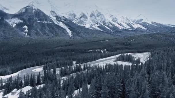 Kananaskis, Alberta, Kanada 'da kışın karlı bir ormanın tepesinde insansız hava aracı vuruldu. — Stok video