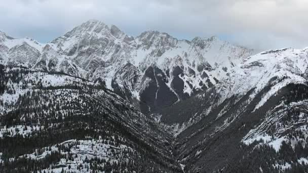 ドローンカメラは、カナダのアルバータ州カナナスキスの飛行高度から黒い木製の斜面を持つ見事な雪の山を捉えます — ストック動画