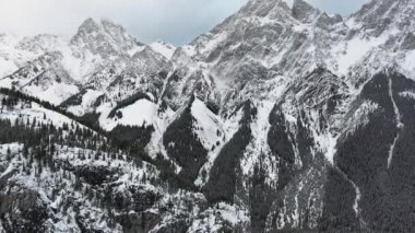 Kananaskis, Alberta, Kanada 'da karlı ağaçlık tepenin üzerinden kışın sisli beyaz kayalara doğru uçan insansız hava aracı.