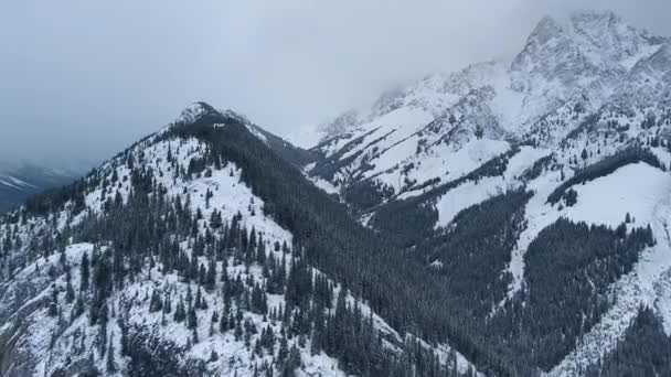 Drone che gira intorno alle cime delle montagne innevate, foresta e nuvole in inverno a Kananaskis, Alberta, Canada — Video Stock
