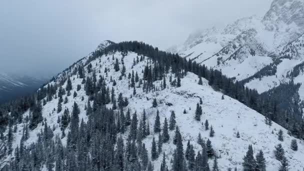 Drone vliegt over de top van de heuvel bedekt met sneeuw en bevroren bomen in Kananaskis, Alberta, Canada — Stockvideo