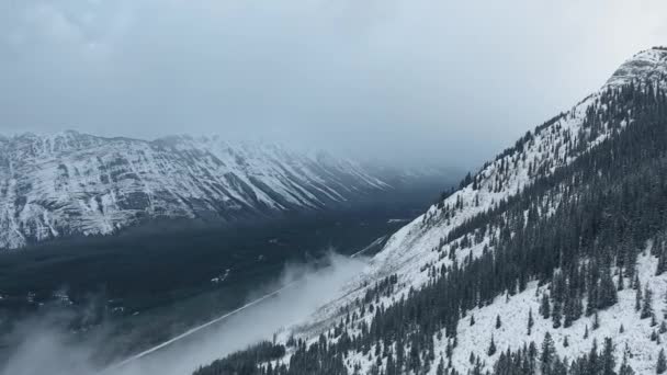 Беспилотник снимает зимний пейзаж с горами, покрытыми черным лесом в Кананаскисе, Альберта, Канада — стоковое видео
