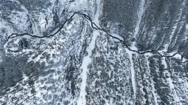 Drohne fliegt über den gefrorenen Fluss und den schneeweißen Winterwald in Kananaskis, Alberta, Kanada — Stockvideo