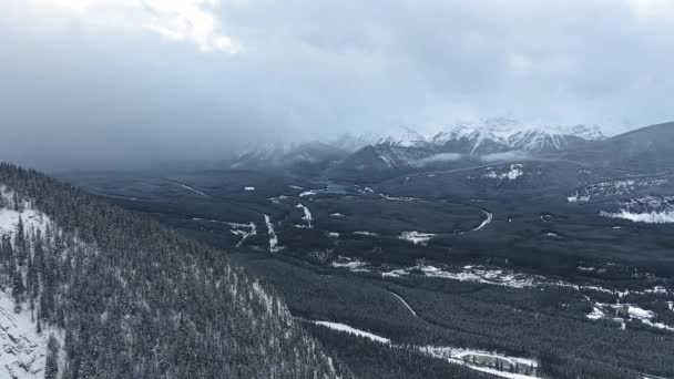 Drone shooting black forest valley dissolving on the horizon in a white haze in Kananaskis, Alberta, Canada — Stock Video
