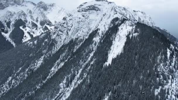 カナナスキス、アルバータ州、カナダの斜面にある雪の山と黒い冬の森の鳥の目の景色 — ストック動画