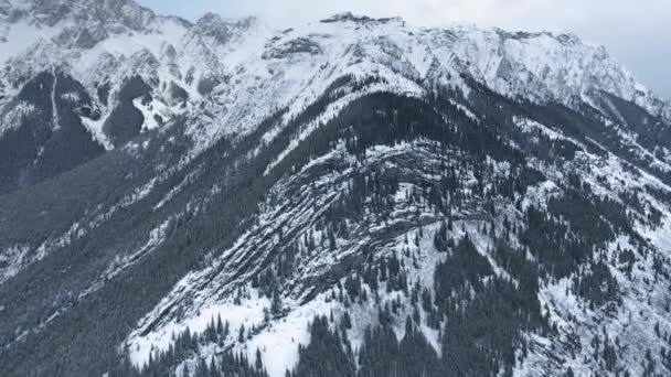 ドローンはカナナスキス、アルバータ州、カナダの霜の多い空気中で黒と白の岩の雪のピークを撮影します。 — ストック動画