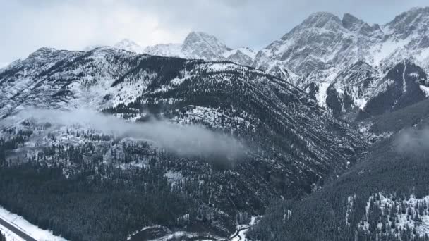 Drone vangt hoge bergen in sneeuw, zwarte bos kleine wolk in Kananaskis, Alberta, Canada — Stockvideo