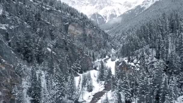 Drone desce em um desfiladeiro selvagem e captura o rio congelado e árvores nevadas em Kananaskis, Alberta, Canadá — Vídeo de Stock