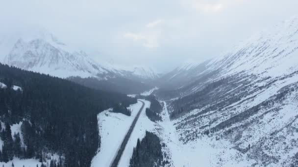 Nsansız Hava Aracı Kananaskis Alberta Kanada Daki Dağ Vadisini Geçerek — Stok video