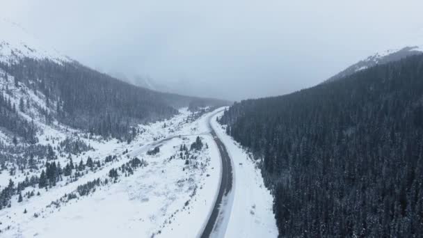 Vista Pájaro Bosque Nevado Montañas Niebla Nieve Invierno Kananaskis Alberta — Vídeos de Stock