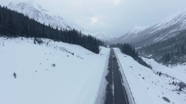 Video Aereo Altezza Sopra Del Sentiero Che Attraversa Area Montana — Video Stock