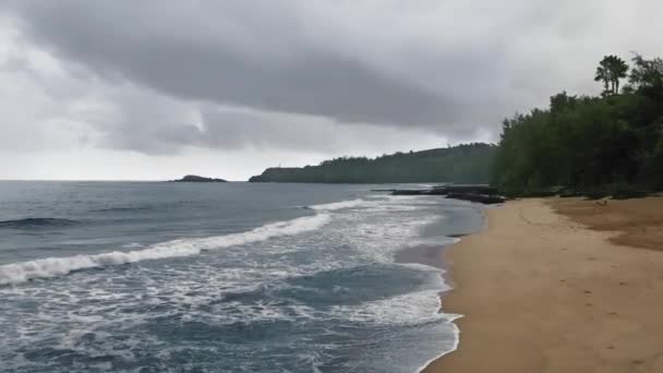 熱帯のパラダイスビーチの無人機からの美しい景色曇りの日 カウアイ ハワイ アメリカ — ストック動画