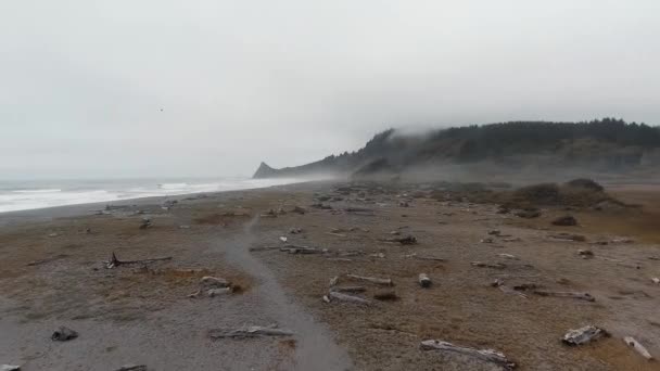 Imágenes Aéreas Playa Desolada Olas Golpeando Niebla Sendero Sharp Point — Vídeo de stock