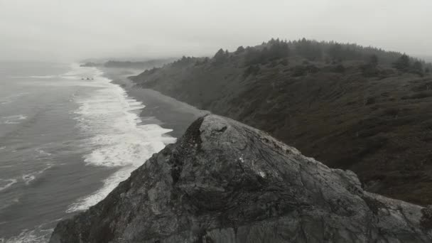 アメリカカリフォルニア州ドライラグーン州立公園の海の前のシャープポイント岩の空中鳥の目の映像 — ストック動画