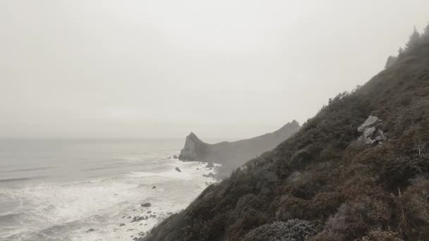 米国カリフォルニア州ドライラグーン州立公園のシャープポイント近くの山の中腹 白い海の波 岩場の海岸の鳥の目のビュー — ストック動画