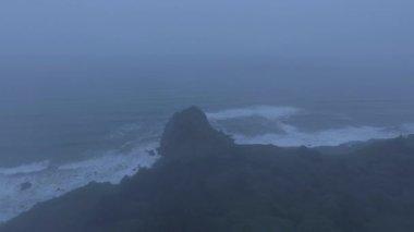 Pasifik kıyı şeridi üzerindeki hava aracı, uçuruma bakan ve yoğun Amerikan ormanı (Humboldt Lagoons, California, ABD) üzerinde çekilmiştir.)