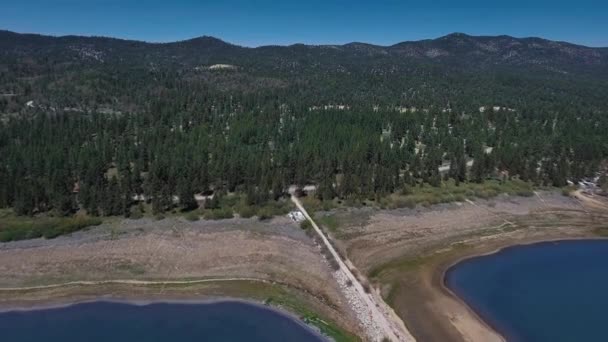 Drone Spara Strada Dal Lago Profondità Nella Fitta Foresta Vista — Video Stock