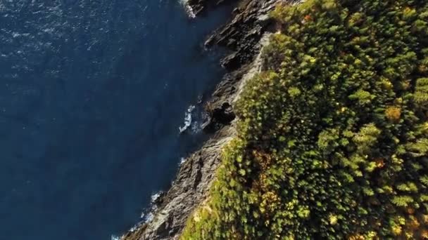 Overhead Drönare Utsikt Över Campobello Island Solig Dag Kanada New — Stockvideo
