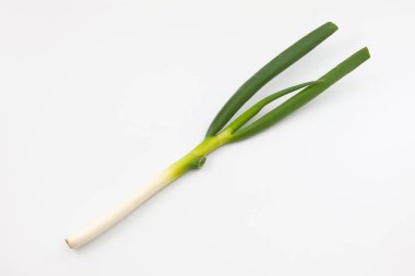 Beyaz arkaplanda yeşil soğan izole edildi