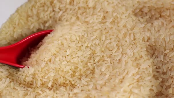 Macro Primer Plano Granos Arroz Crudos — Vídeo de stock