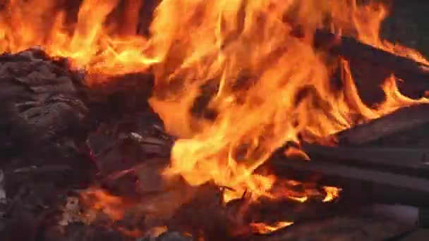 Blazing Fire Smoke Inflames Burning — Stock Video