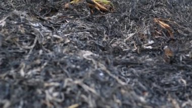 Alevler içinde yanan ateş ve duman 