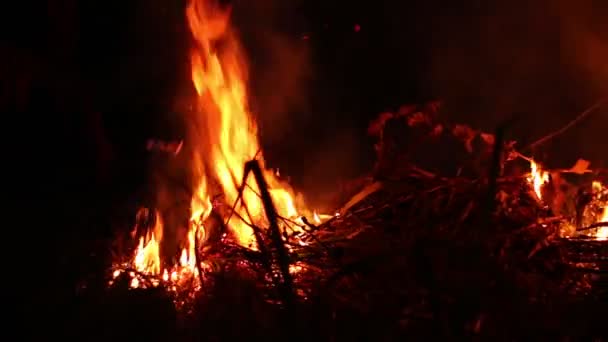 Vuur Rook Met Brandende Vlammen — Stockvideo
